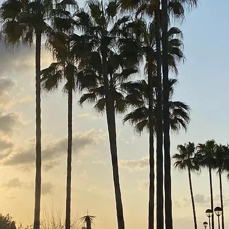 Appartement Romana Playa *